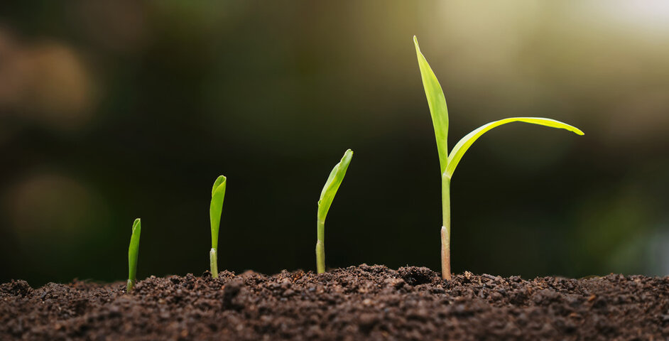 Anpassung der Größenklassen